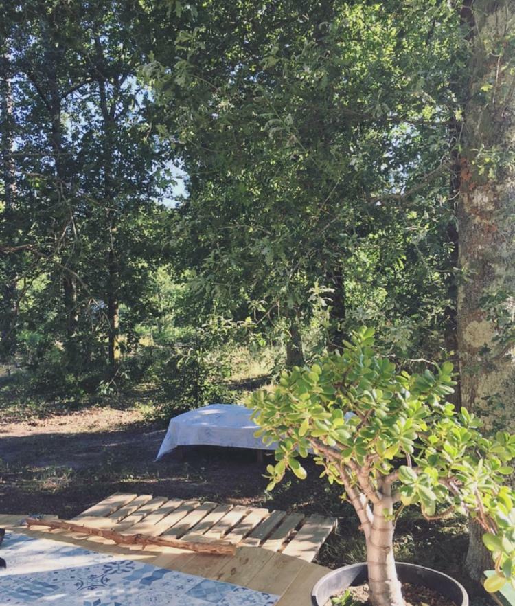 Tipi Lodge Dans La Foret Mimizan-Plage Екстериор снимка