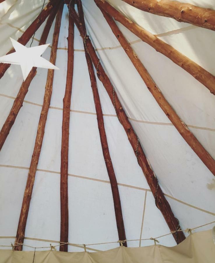 Tipi Lodge Dans La Foret Mimizan-Plage Екстериор снимка